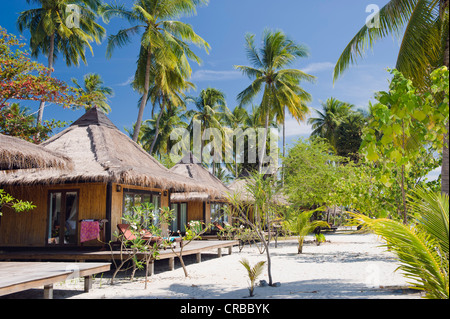 Bungalows sur un Palm Beach, Koh Mook Sivalai Beach Resort, Ko Muk ou Ko Mook island, Thaïlande, Asie du Sud-Est Banque D'Images