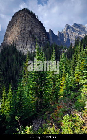 Big Beehive Mountain, Lake Louise, maison de thé, Banff National Park, Rocheuses canadiennes, l'Alberta, Canada Banque D'Images