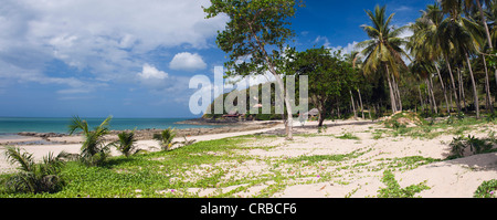 Palm beach, Bamboo Bay, Ko Lanta, Krabi, Thaïlande, Asie du Sud-Est Banque D'Images