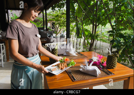 Waitress serving Thai Food, The Seven Seas Resort, Ko Kradan, Trang, Thaïlande, Asie du Sud-Est, Asie Banque D'Images