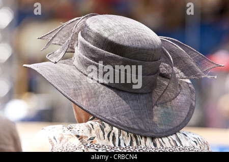 Spectateur portant un chapeau, pentecôtiste International show jumping et dressage, le Schlosspark Biebrich palace gardens Banque D'Images