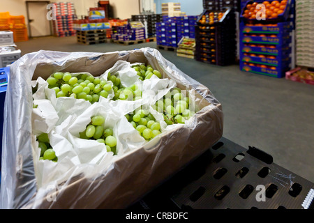 Raisins frais dans des caisses dans la vente en gros de produits frais, fruits et légumes, Francfort, Hesse, Germany, Europe Banque D'Images