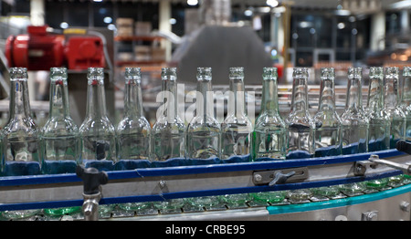 Les bouteilles de bière vides après le nettoyage, sur un convoyeur à courroie, contraignant la brasserie, Francfort, Hesse, Germany, Europe Banque D'Images
