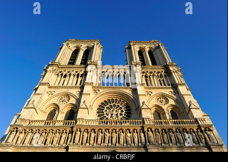 Façade ouest, la statuaire gothique sur le portail principal, la cathédrale de Notre-Dame de Paris, l'Ile de la Cité, Paris, France, Europe Banque D'Images