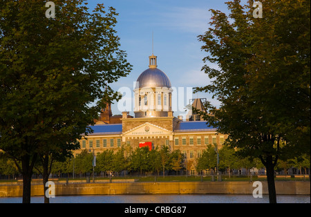 Marché Bonsecours à travers des arbres dans la lumière du matin en automne, le Vieux Montréal, Québec, Canada Banque D'Images