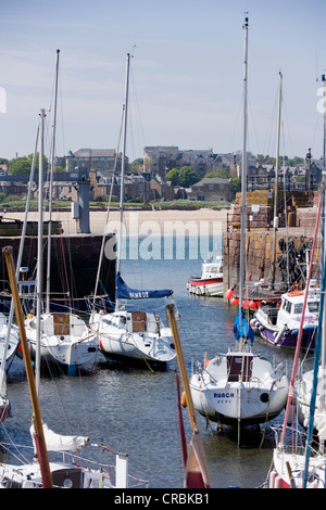Le port de North Berwick, East Lothian en Écosse Banque D'Images
