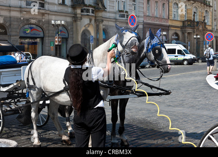 Une femme pulvériser de l'eau sur les chevaux d'un chariot dans la chaleur de l'été, Prague, République Tchèque, Europe Banque D'Images