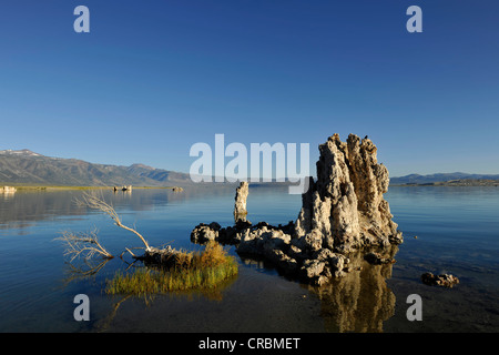 Les roches de tuf, tuf, rocher de tuf tuf formations, au sud du lac Mono, région du lac salin, Mono Basin and Range, région Sierra Nevada Banque D'Images