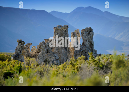 Les roches de tuf, formations de tuf tuf du sud, salon, Mono Lake, lac salin, Mono Basin and Range, région de la Sierra Nevada, en Californie Banque D'Images