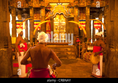 Batteurs lors d'une cérémonie au temple de la dent, également connu sous le nom de Sri Dalada Maligawa, Kandy, Sri Lanka, de l'Océan Indien Banque D'Images