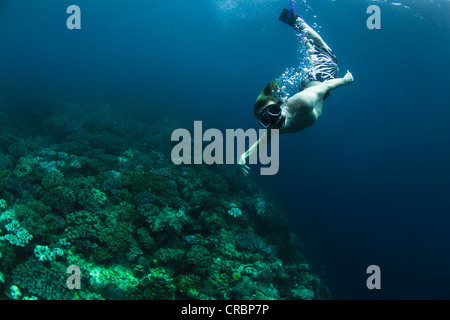 Snorkeler nager dans les récifs coralliens Banque D'Images