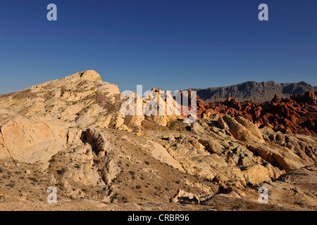 Dôme de silice dans le feu Canyon, Vallée de Feu Park, Nevada, United States of America, USA Banque D'Images