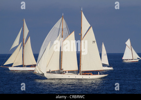 Au cours de la régate de voile Monaco Classic Week 2011 historique avec yachts, Monaco, Cote d'Azur, Méditerranée, Europe Banque D'Images