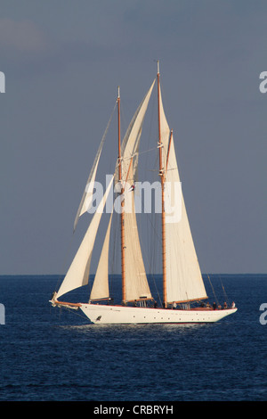 Au cours de la régate de voile Monaco Classic Week 2011 historique avec yachts, Monaco, Cote d'Azur, Méditerranée, Europe Banque D'Images