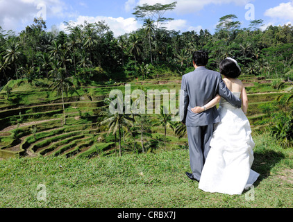 Couple de mariage coréen, bras dessus bras dessous en face d'une terrasse de riz à Ubud, Bali, Indonésie, Asie du sud-est Banque D'Images