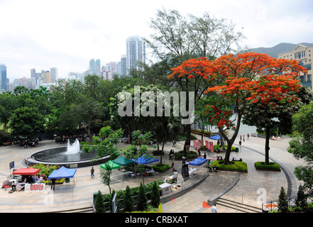 Le parc Victoria à Hong Kong, Chine, Asie Banque D'Images