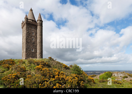 La tour Scrabo, Newtownards, comté de Down, Irlande du Nord, en Irlande, Royaume-Uni, Europe, PublicGround Banque D'Images