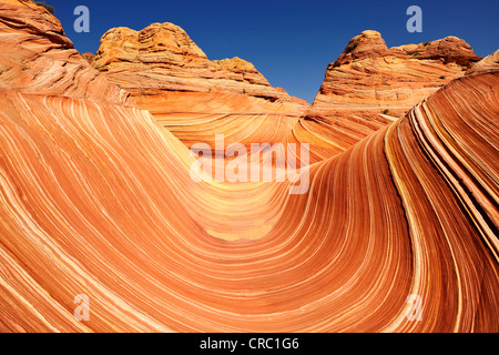 La vague, des rochers de grès Navajo érodé avec bandes Liesegang, Liesegangen ou bagues, anneaux de Liesegang, Coyote Buttes, Nord Banque D'Images