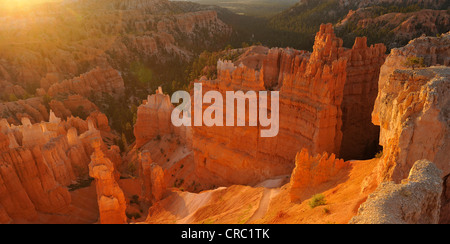 Des formations rocheuses et des cheminées, le Pape et le marteau de Thor, sunrise, Sunset Point, Bryce Canyon National Park, Utah Banque D'Images