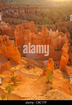 Des formations rocheuses et des cheminées, le Pape et le marteau de Thor, sunrise, Sunset Point, Bryce Canyon National Park, Utah Banque D'Images