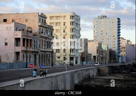Au matin le Malecon sea wall, Avenida de Antonio Maceo, un boulevard le long du centre-ville de La Havane, Centro Habana, Cuba Banque D'Images