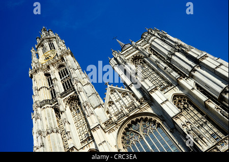 Tour de la cathédrale gothique, au centre-ville, Anvers, Flandre, Belgique, Benelux, Europe Banque D'Images