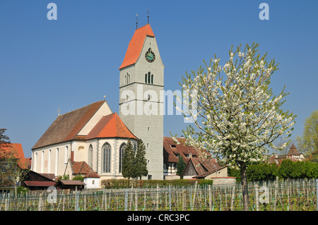 Saint Jean Baptiste, l'église catholique, Hagnau, sur le lac de Constance, Bade-Wurtemberg, Allemagne, Europe Banque D'Images