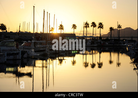 Lever du soleil, des bateaux dans le port, la marina de Puerto de Pollensa, Port de Pollença, Majorque, Îles Baléares, Mer Méditerranée Banque D'Images