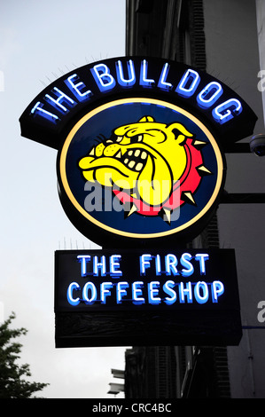 Signe d'un bar, café, The Bulldog coffeeshop, Neon Sign dans le district de Wallen, red-light district, le quartier historique Banque D'Images