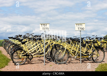 Location de bicyclettes tandem sur l'île de Hven ou Ven en Suède, Europe, l'Oresund Banque D'Images