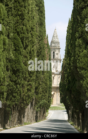 Arbres au bord de route de la cathédrale orné Banque D'Images