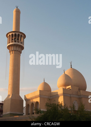 Elk206-2158v Emirats Arabes Unis, Dubai, Dubai, mosquée Banque D'Images