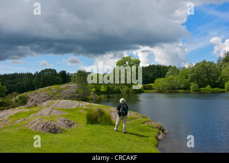 Walker par Moss Eccles Tarn sur Loweswater Heights, Parc National de Lake District, Cumbria England UK Banque D'Images