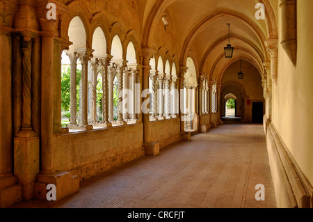 Cloître avec double colonne de la basilique gothique du monastère cistercien, l'abbaye de Fossanova près de Priverno, lazio, Italie Banque D'Images