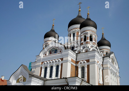 La cathédrale Alexandre Nevsky, Tallinn, Estonie, pays Baltes, Europe Banque D'Images