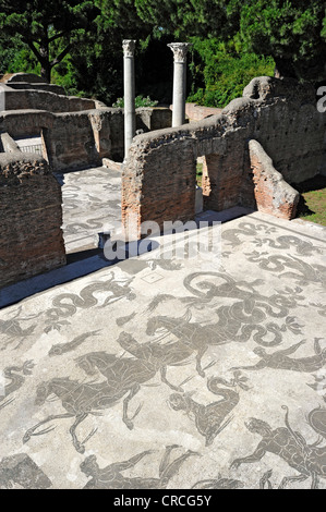 Mosaïques dans les ruines de la Terme di Nettuno, Thermes de Neptune, site archéologique d'Ostia Antica, ancienne ville portuaire de Rome Banque D'Images