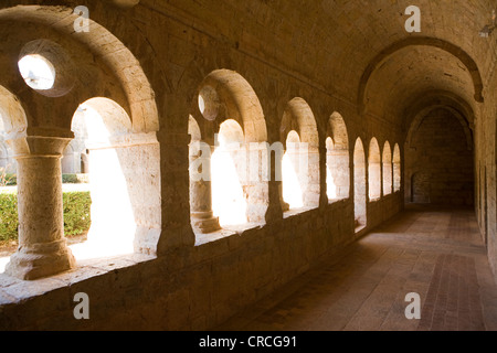 L'Abbaye du Thoronet, PROVENCE Banque D'Images