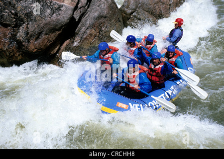 Rafting, USA, Montana, Galatin River Banque D'Images