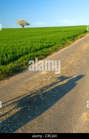 Ombre d'un photographe sur le chemin sur le terrain, l'Allemagne, la Sarre Banque D'Images