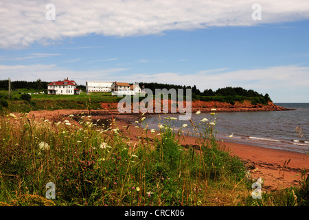 La plage et les falaises de grès rouge dans le parc national de l'île, l'Île du Prince Édouard, Canada, Amérique du Nord Banque D'Images