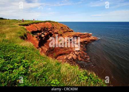 Les falaises en grès rouge dans le parc national de l'île, l'Île du Prince Édouard, Canada, Amérique du Nord Banque D'Images