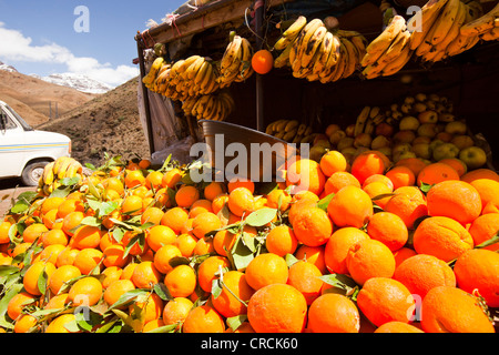 Des oranges sur un marché jusqu'à la stalle vers la neige de l'Atlas, Maroc, Afrique du Nord. Banque D'Images