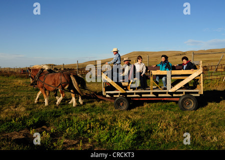 Deux cowboys un cheval volant panier avec des passagers à travers la prairie, en Saskatchewan, au Canada, en Amérique du Nord Banque D'Images