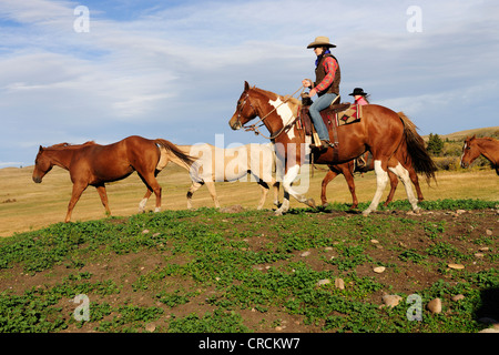 Deux cowgirls chevaux, Saskatchewan, Canada, Amérique du Nord Banque D'Images