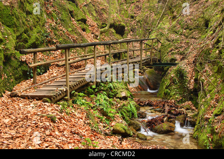 Pont de bois sur mountain creet à Rastenbachklamm, Italie, Suedtirol, Altenburg Banque D'Images