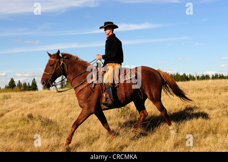 Circonscription de Cowboy à travers la prairie, Saskatchewan, Canada Banque D'Images