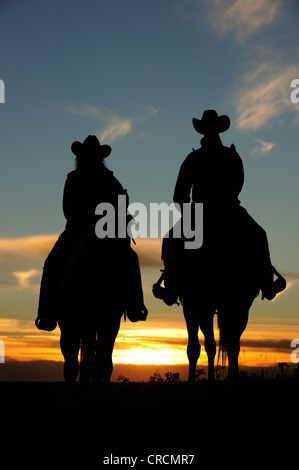 Cowboy et Cowgirl assis à cheval au coucher du soleil, en Saskatchewan, au Canada, en Amérique du Nord Banque D'Images