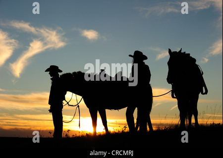 Cowboy et Cowgirl avec les chevaux au coucher du soleil, en Saskatchewan, au Canada, en Amérique du Nord Banque D'Images
