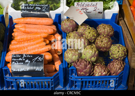Les carottes et les artichauts sur le marché alimentaire Viktualienmarkt, Altstadt-Lehel district, Munich, Bavaria, Germany, Europe Banque D'Images