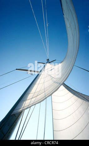 La voile au vent, Grèce, Cyclades, Paros Banque D'Images